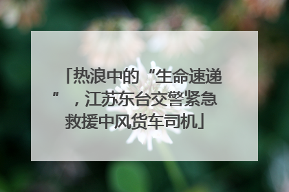 热浪中的“生命速递”，江苏东台交警紧急救援中风货车司机