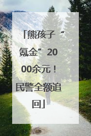 熊孩子“氪金”2000余元！民警全额追回