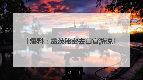 爆料：盖茨秘密去白宫游说