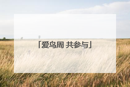爱鸟周 共参与