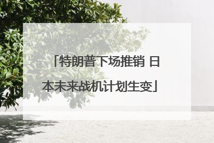 特朗普下场推销 日本未来战机计划生变