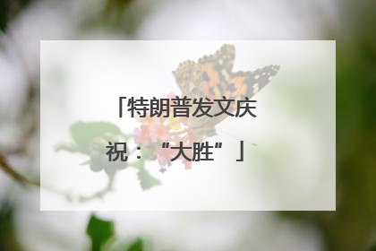 特朗普发文庆祝：“大胜”