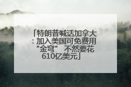 特朗普喊话加拿大：加入美国可免费用“金穹” 不然要花610亿美元
