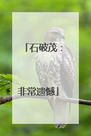 石破茂：非常遗憾