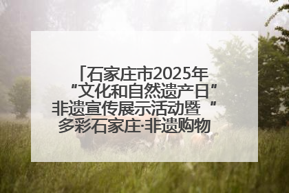 石家庄市2025年“文化和自然遗产日”非遗宣传展示活动暨“多彩石家庄·非遗购物节”倒计时1天