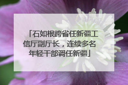石如根跨省任新疆工信厅副厅长，连续多名年轻干部调任新疆