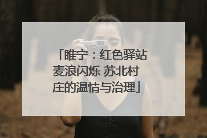 睢宁：红色驿站麦浪闪烁 苏北村庄的温情与治理