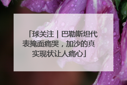 球关注｜巴勒斯坦代表掩面痛哭，加沙的真实现状让人痛心