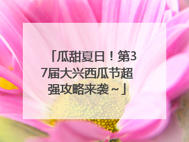 瓜甜夏日！第37届大兴西瓜节超强攻略来袭～