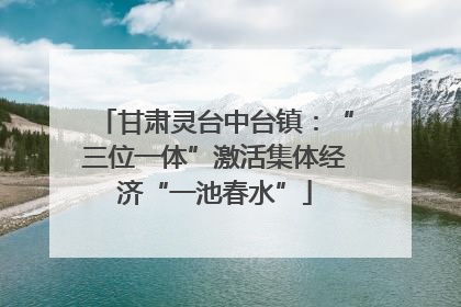 甘肃灵台中台镇：“三位一体”激活集体经济“一池春水”