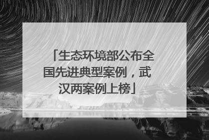 生态环境部公布全国先进典型案例，武汉两案例上榜
