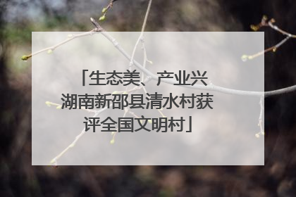 生态美、产业兴 湖南新邵县清水村获评全国文明村