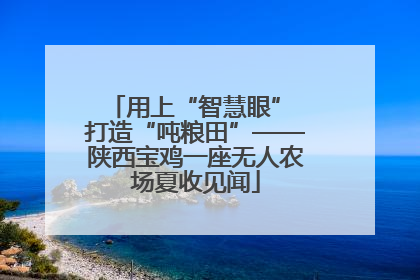 用上“智慧眼” 打造“吨粮田”——陕西宝鸡一座无人农场夏收见闻