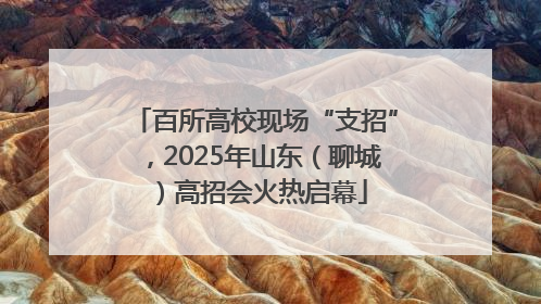 百所高校现场“支招”，2025年山东（聊城）高招会火热启幕