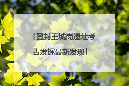 登封王城岗遗址考古发掘最新发现