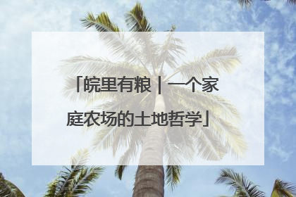 皖里有粮｜一个家庭农场的土地哲学