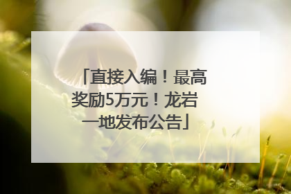 直接入编！最高奖励5万元！龙岩一地发布公告