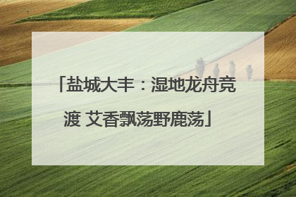 盐城大丰：湿地龙舟竞渡 艾香飘荡野鹿荡