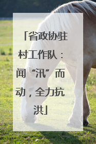 省政协驻村工作队：闻“汛”而动，全力抗洪