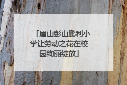 眉山彭山鹏利小学让劳动之花在校园绚丽绽放