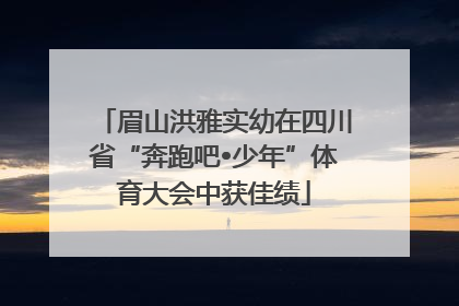 眉山洪雅实幼在四川省“奔跑吧•少年”体育大会中获佳绩