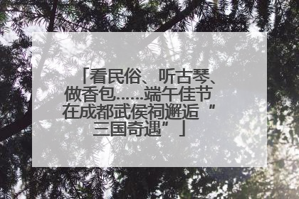 看民俗、听古琴、做香包……端午佳节在成都武侯祠邂逅“三国奇遇”
