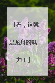 看，这就是龙舟的魅力！