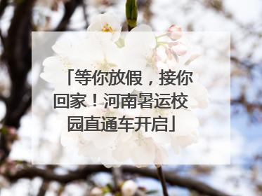 等你放假，接你回家！河南暑运校园直通车开启