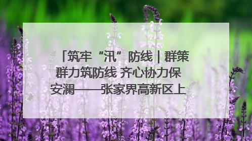 筑牢“汛”防线｜群策群力筑防线 齐心协力保安澜——张家界高新区上下众志成城迎战汛情