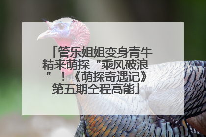 管乐姐姐变身青牛精来萌探“乘风破浪”！《萌探奇遇记》第五期全程高能