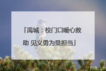 禹城：校门口暖心救助 见义勇为显担当