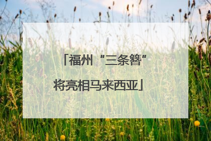 福州“三条簪”将亮相马来西亚