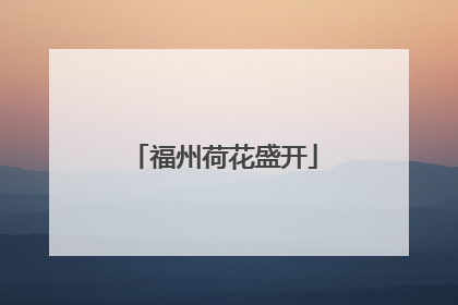 福州荷花盛开