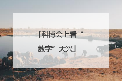 科博会上看“数字”大兴
