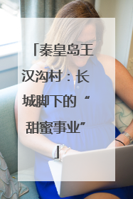 秦皇岛王汉沟村：长城脚下的“甜蜜事业”