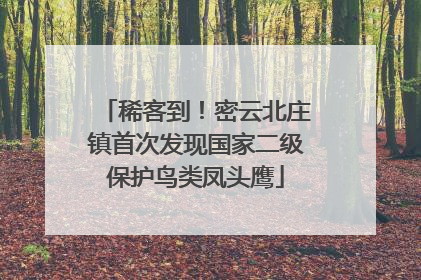 稀客到！密云北庄镇首次发现国家二级保护鸟类凤头鹰