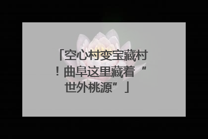 空心村变宝藏村！曲阜这里藏着“世外桃源”