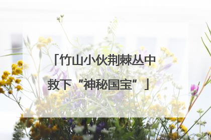 竹山小伙荆棘丛中救下“神秘国宝”