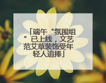 端午“氛围组”已上线，文艺范艾草装饰受年轻人追捧