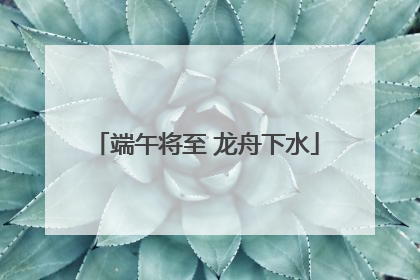 端午将至 龙舟下水