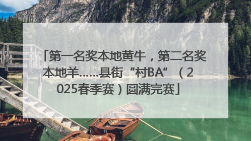 第一名奖本地黄牛，第二名奖本地羊……县街“村BA”（2025春季赛）圆满完赛