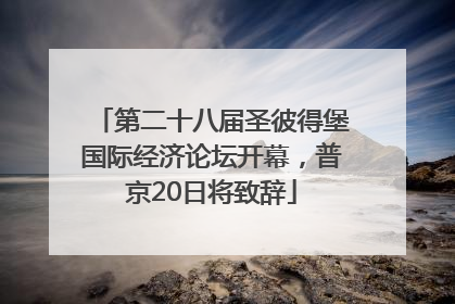 第二十八届圣彼得堡国际经济论坛开幕，普京20日将致辞