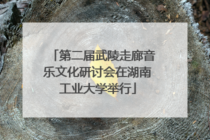 第二届武陵走廊音乐文化研讨会在湖南工业大学举行