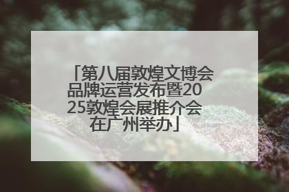 第八届敦煌文博会品牌运营发布暨2025敦煌会展推介会在广州举办