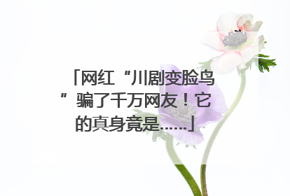 网红“川剧变脸鸟”骗了千万网友！它的真身竟是……