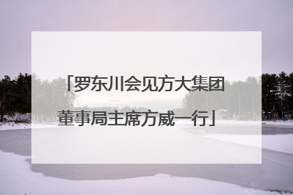 罗东川会见方大集团董事局主席方威一行