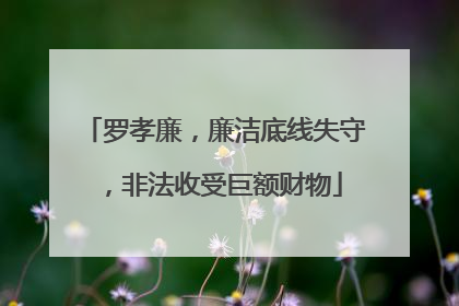 罗孝廉，廉洁底线失守，非法收受巨额财物