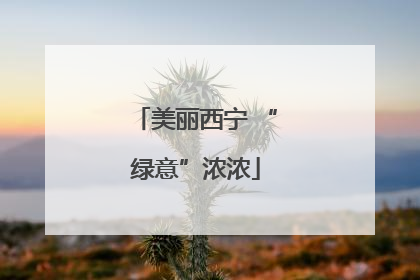 美丽西宁 “绿意”浓浓