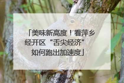 美味新高度！看萍乡经开区“舌尖经济” 如何跑出加速度