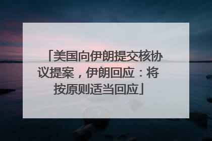 美国向伊朗提交核协议提案，伊朗回应：将按原则适当回应
